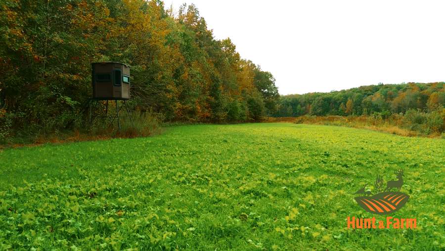 Still 2025-11-29 081237_1.45.1.jpg